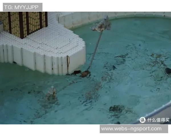 成都极限运动队战术深度对比与解析探讨