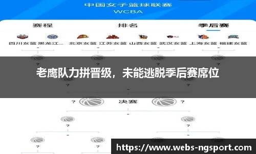 老鹰队力拼晋级，未能逃脱季后赛席位