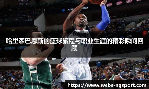 NG体育娱乐