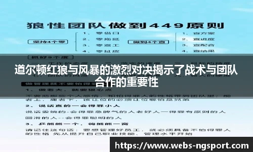 NG体育官网